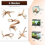 majoywoo Natural Driftwood for Aquarium Decor Fish Tank Decorations, Assorted Spider Wood Branch 4-8" 5 Pcs, Reptile Decor
