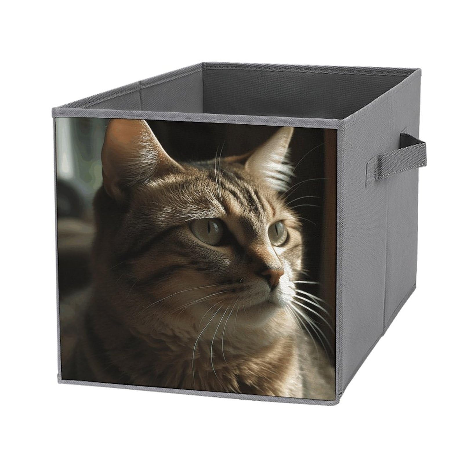 Boîte de rangement empilable pliable lot de 6 cubes à motif chat tigré