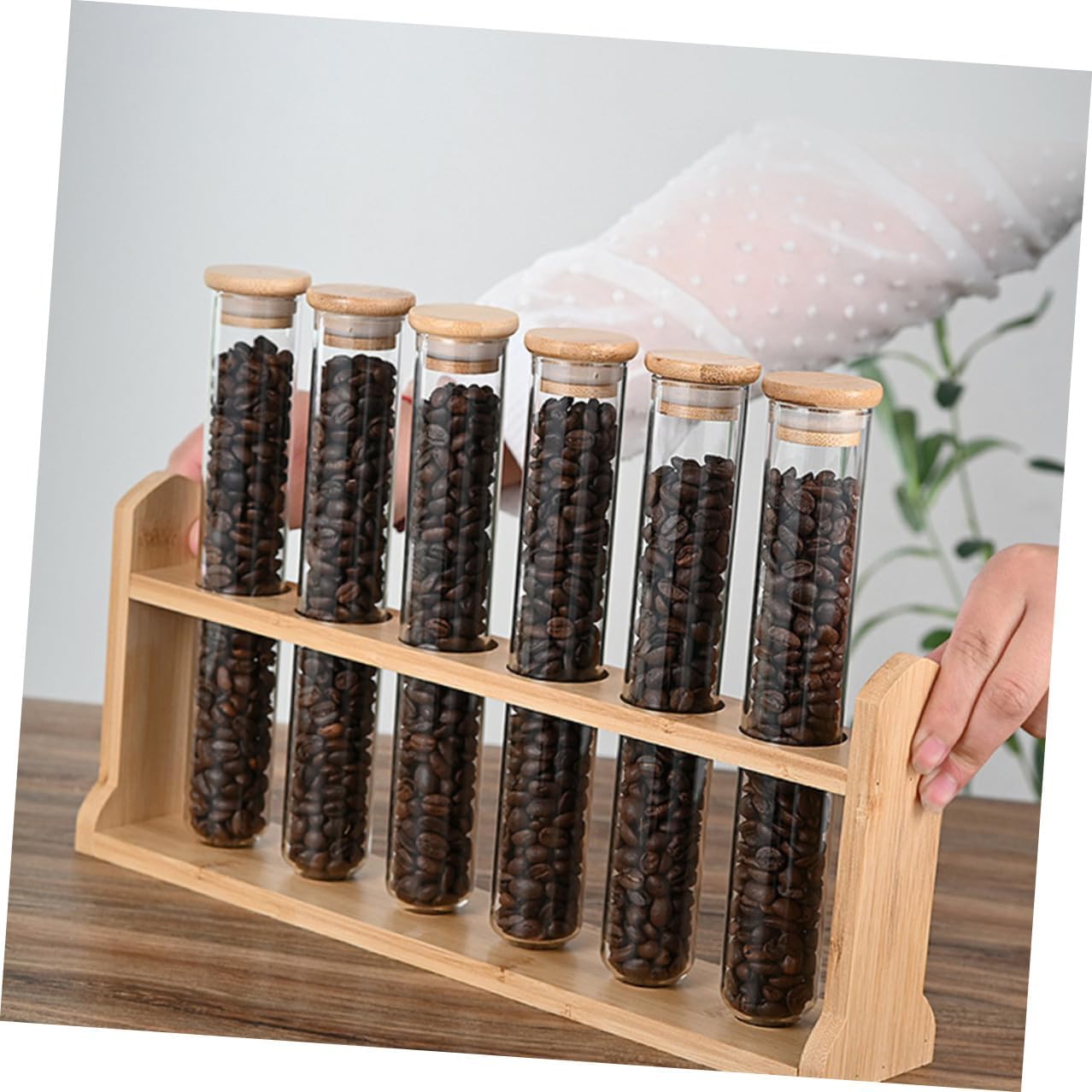 Glass Coffee Bean Storage Tubes with Airtight Sealed Vials and Wooden Display Stand Compact Multi-functional Canisters for Coffee Shops Offices and Spaces Easy to Assemble and