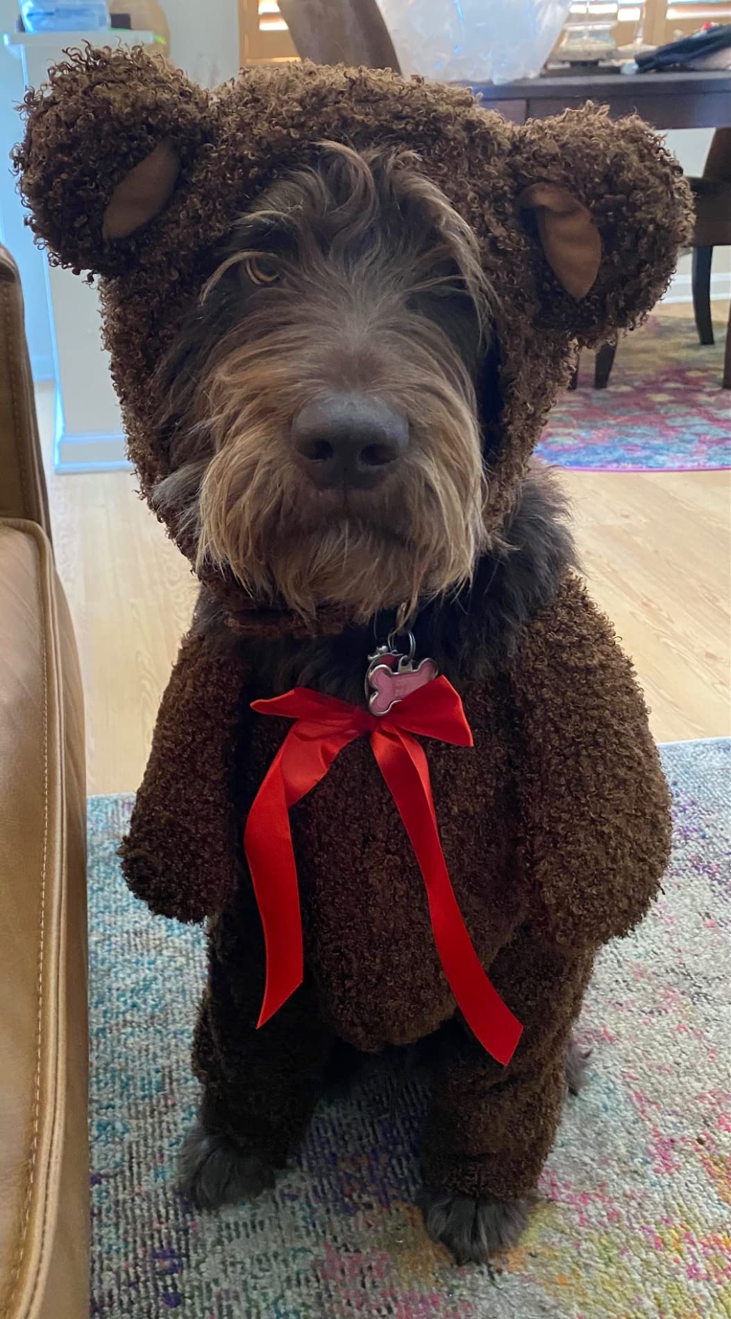 Teddy Bear Pet Costume Teddy Bear Pet Costume