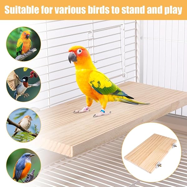 Plateforme Cage Hamster, Perroquet Plate Forme de Repos 25 X 15 cm, Rectangulaire Oiseau Perchoir Stand, Bois Naturel Plateforme pour Oiseaux pour Perroquets, Chinchillas, Hamsters et Petits Animaux - 5