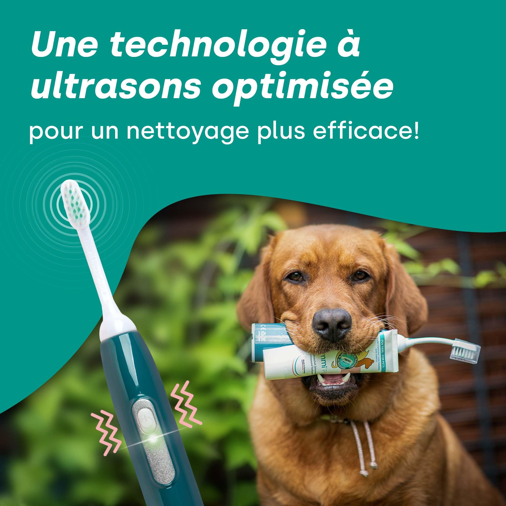 emmi-pet PRO Brosse à dents ultrasonique pour chiens - Brosse à dents silencieuse pour chiens et chats sans frottement avec 96 millions de vibrations - Prévient le tartre et les inflammations