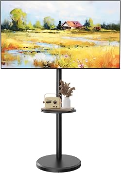 Rolling TV Stand for 10-46 Inch TVs, Small Mobile TV Cart with Shelf and Hidden Wheels,Portrait to Landscape,Modern Floor Mobile TV Stand for Living Room,Height Adjustable,Max VESA 200x200mm Black