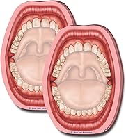 Vista 1 de Notas adhesivas divertidas para regalo, notas adhesivas para la boca, paquete de 2, 100 hojas por paquete