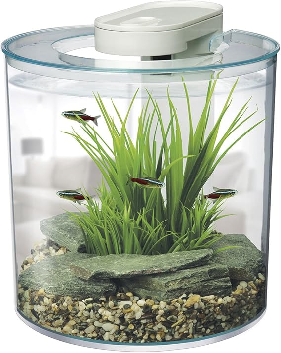 Marina 12850 360Degree Aquarium Starter Kit Amazon.ca Pet Supplies