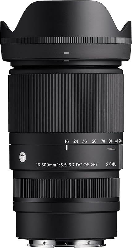 Sigma 16-300mm f/3.5-6.7 DC OS Contemporary