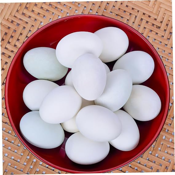 Fake Pigeon Egg 20pcs Plastic Large Eggs for Racing Pigeons