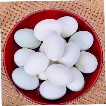 Fake Pigeon Egg 20pcs Plastic Large Eggs for Racing Pigeons
