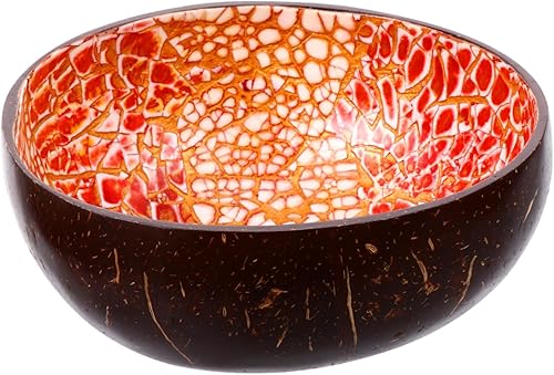 Cuenco de madera de cáscara de coco, cuenco de ensalada de mesa, decoración natural para el hogar, cuenco de almacenamiento de llaves de concha,