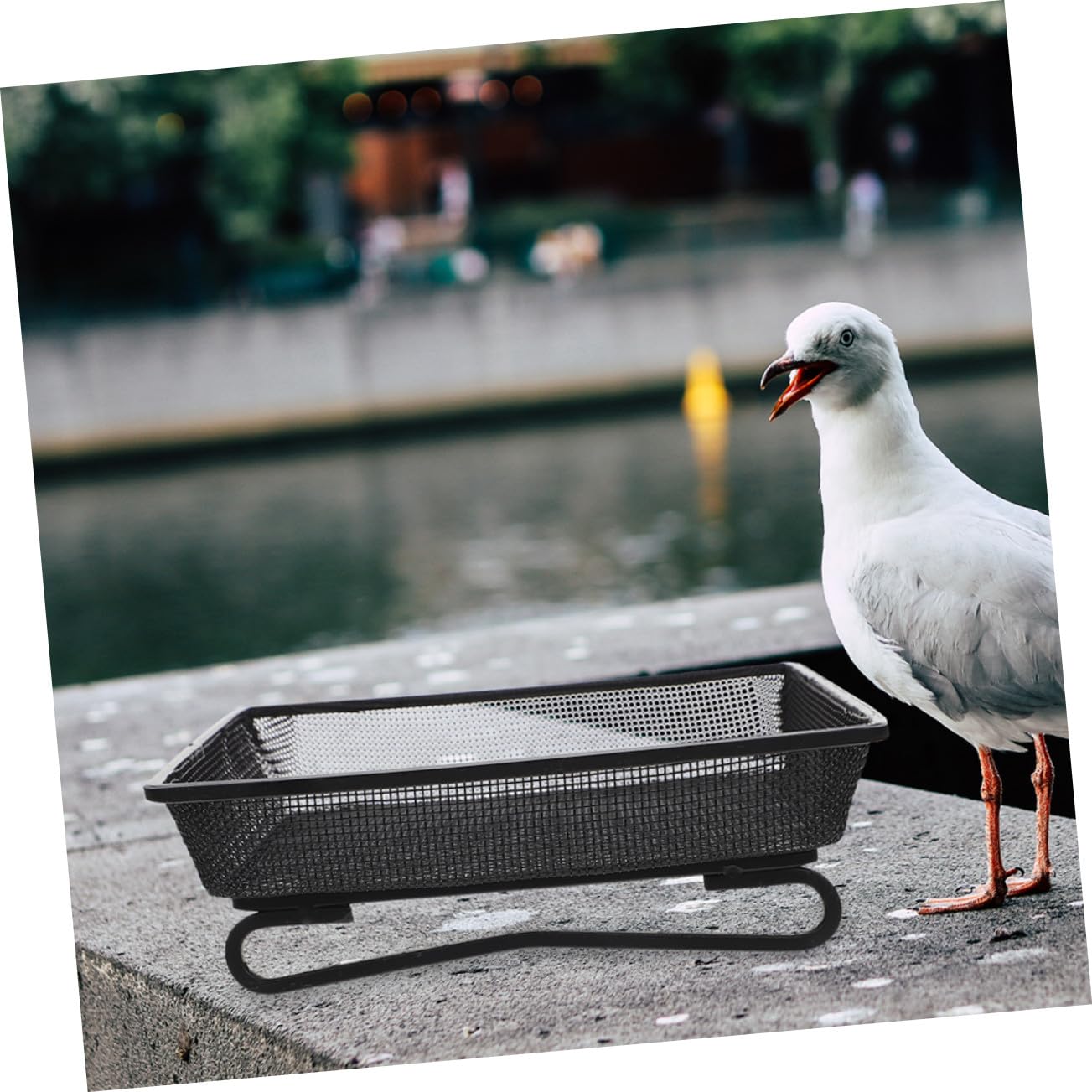 Edelstahl Plattform Vogelfutterstation Wetterfestes Gittertablett für Bodenvögel Garten Wildvögel Futterstelle mit Stabiler Konstruktion und Einfache Reinigung