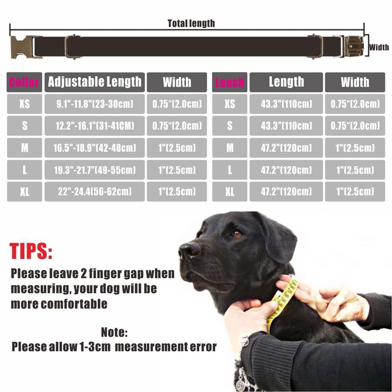 XIANGFAGS Guinzaglio Per Cani Collare for cani personalizzato Collare for animali personalizzato con incisione gratuita Targhetta con nome Accessorio for animali Set guinzaglio for cuccioli in velluto