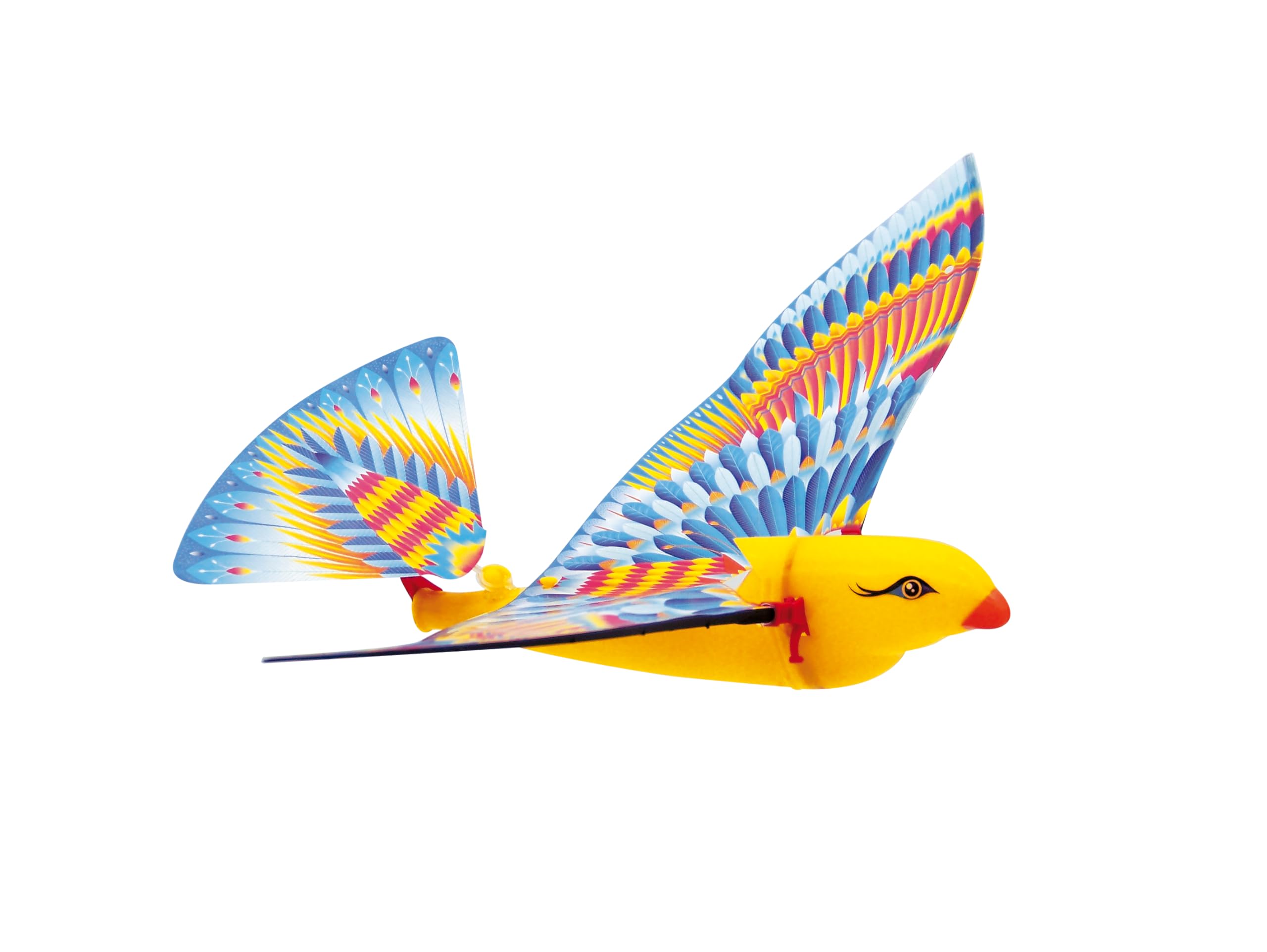 TIM BIRD