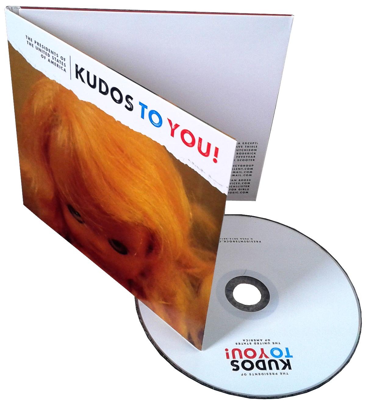 Kudos To You!