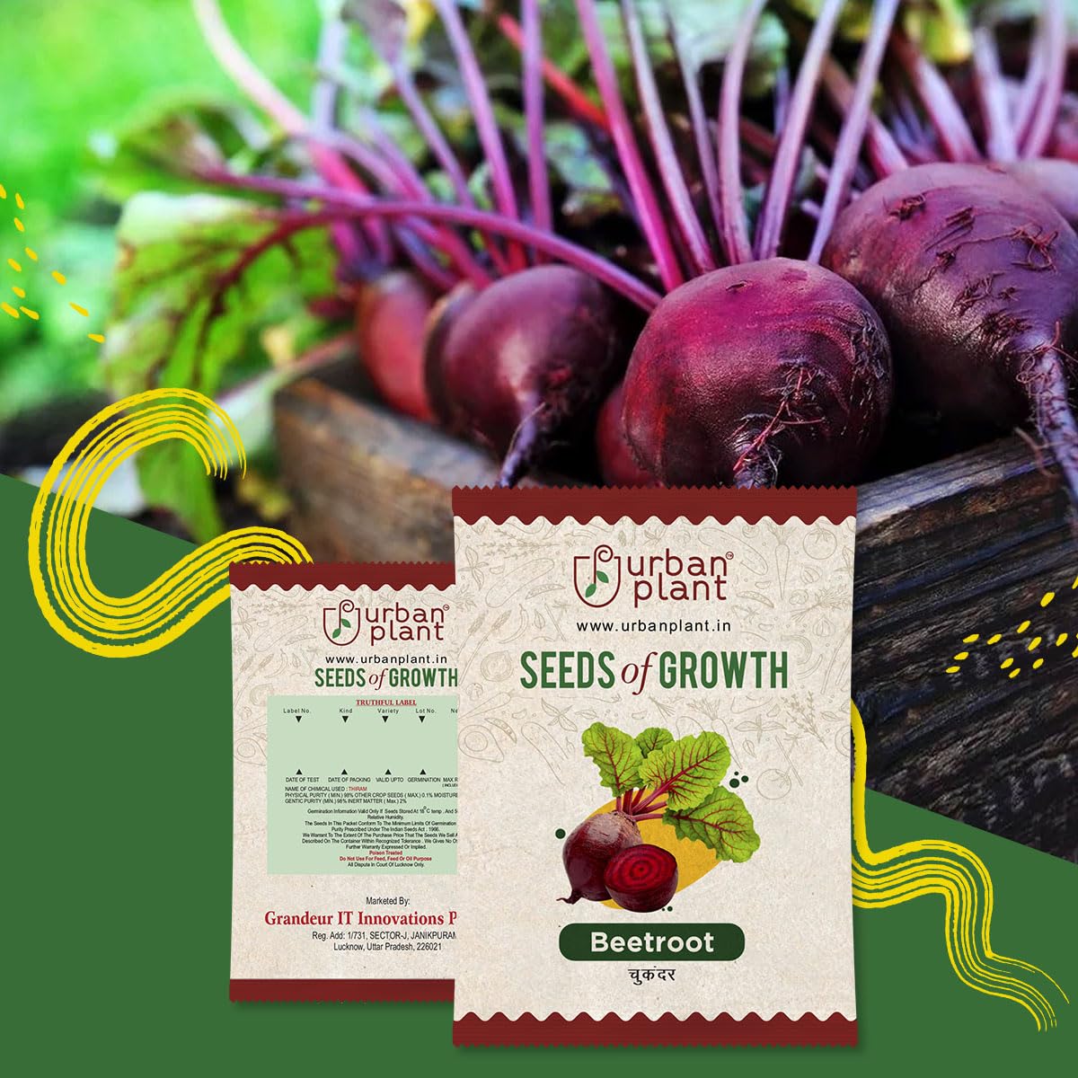 Urban Plant Vegetable Seed for Home Gardening | Summer/Winter Vegetable Seeds for Terrace Garden (Beetroot) (B0CCSFCTMN) Amazon Price History, Amazon Price Tracker