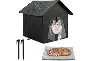 Durable Outdoor Cat House for Small Cats and Kittens