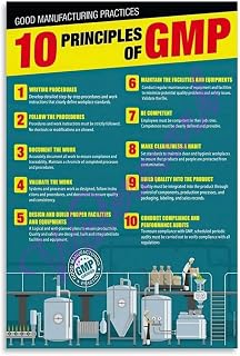 Workplace Regulations Poster 10 GMP Principles for Safe Production Canvas Print Factory Office Art(Unframed,16x24inch(40x60cm))