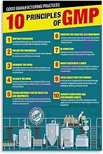 Healthcare Quality Poster GMP Principles Infographic Canvas Wall Art for Hospital Administration Office(Unframed,16x24inch(40x60cm))