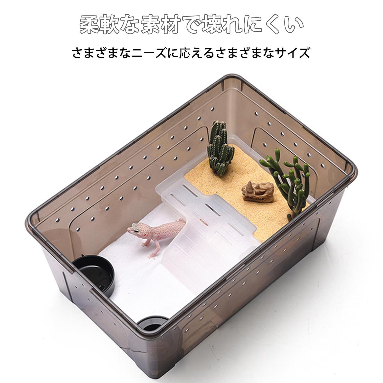 ポポのケージ爬虫類・両生類用飼育ケージ Amazon.co.jp: 給餌ケージ ボックス 爬虫類飼育水槽 爬虫類