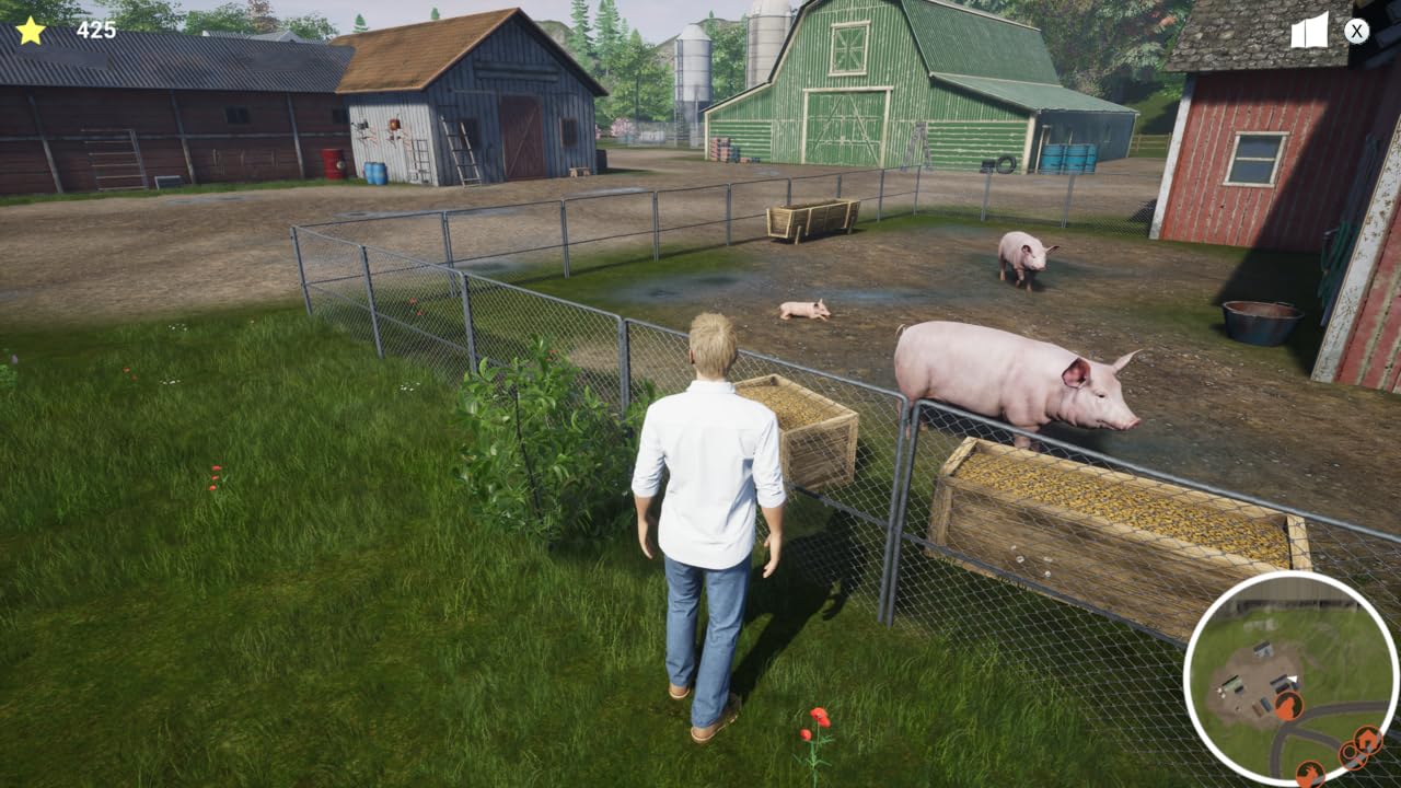 Ma Vie Vétérinaire à la Ferme Nintendo Switch