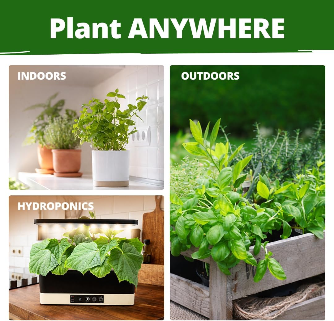 HOME GROWN Herb Seeds for Planting 15-Pack Massive Seed Count 4,300+ Seeds Non-GMO Heirloom | Extra Large | Culinary Herb Kit, Indoor Outdoor & Hydroponic | Grow Your Own Herbs | Gardening Gift - Image 7