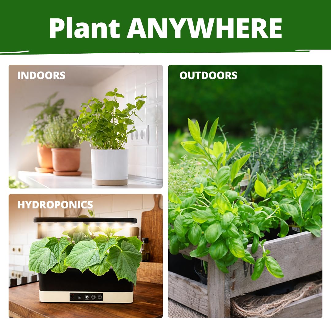 Grow Your Own Herbs: 15 Variety Seed Kit -5