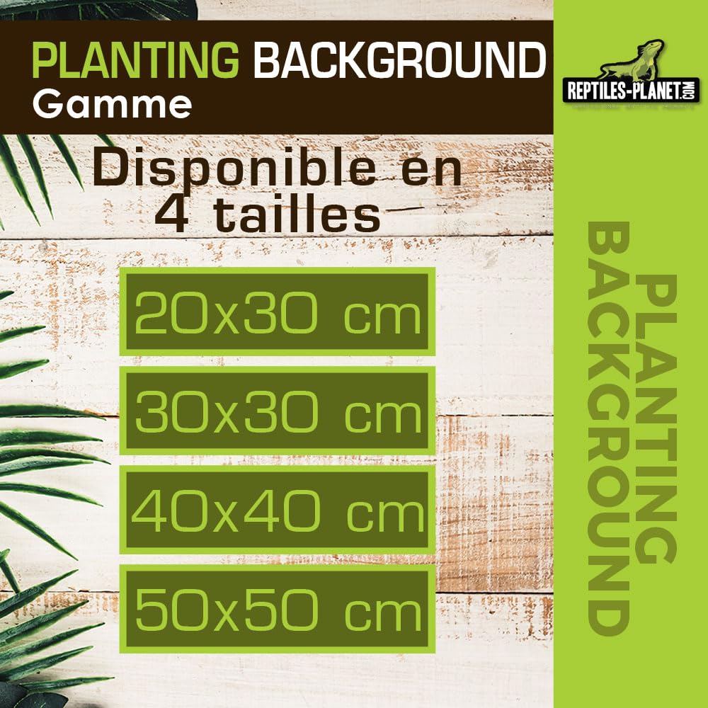 Rettili Planet Decorazione di Fondo in Cocco per terrario per Planter 40 x 40 x 1 cm