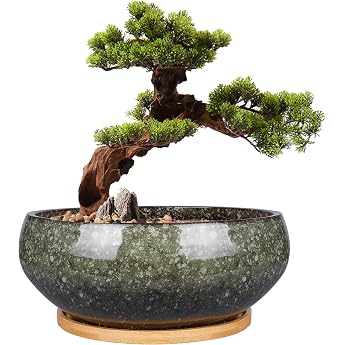 EPFamily Ceramic Bonsai Planter, Glazed Flat Succulent Planter with Drainage Hole and Bamboo Saucer for Indoor Plants, 8 Inch