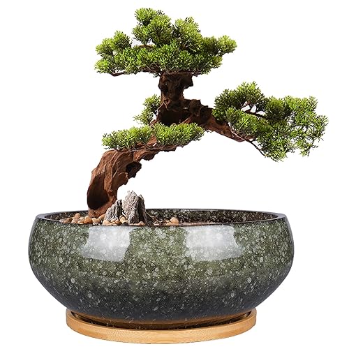 8 Inch Ceramic Bonsai Planter Pot, Glazed Shallow Succulent Planter