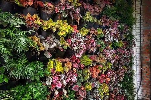 Miniatura 3 de AA006-18G - Bolsas colgantes de cultivo para plantar, 18 bolsillos, para montar en la pared, bolsas colgantes para macetas, contenedor vertical de