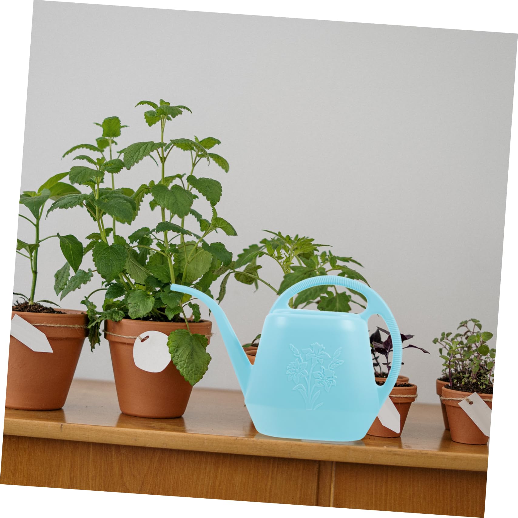 Regadera de Jardín con Pico Largo, Capacidad 4 L, Plástico Verde