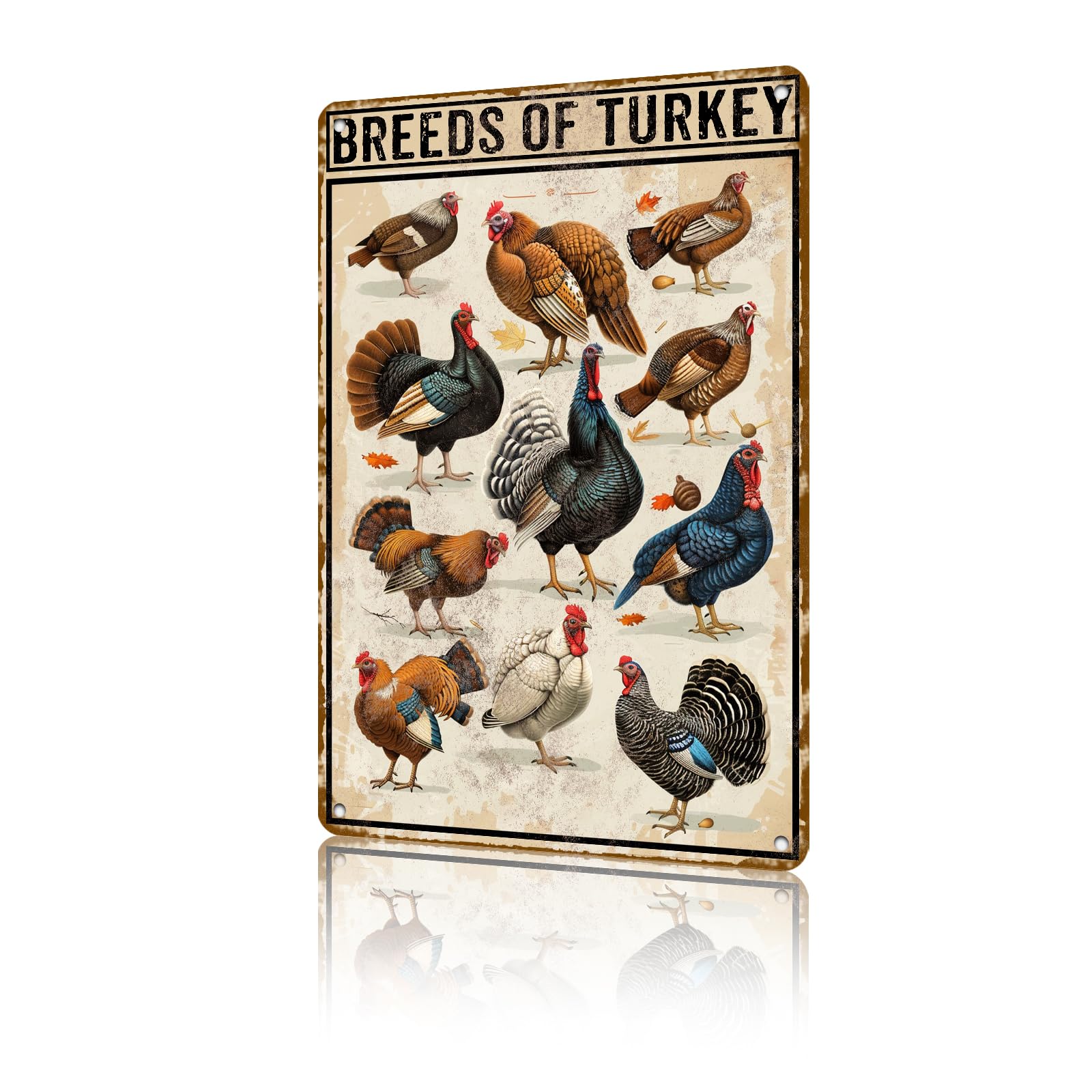 Anceky Tin Sign Breeds Of Turkey Metal Signs Funny Wall Decor for Office Yard Fence Home Cafe 12×8 Inch