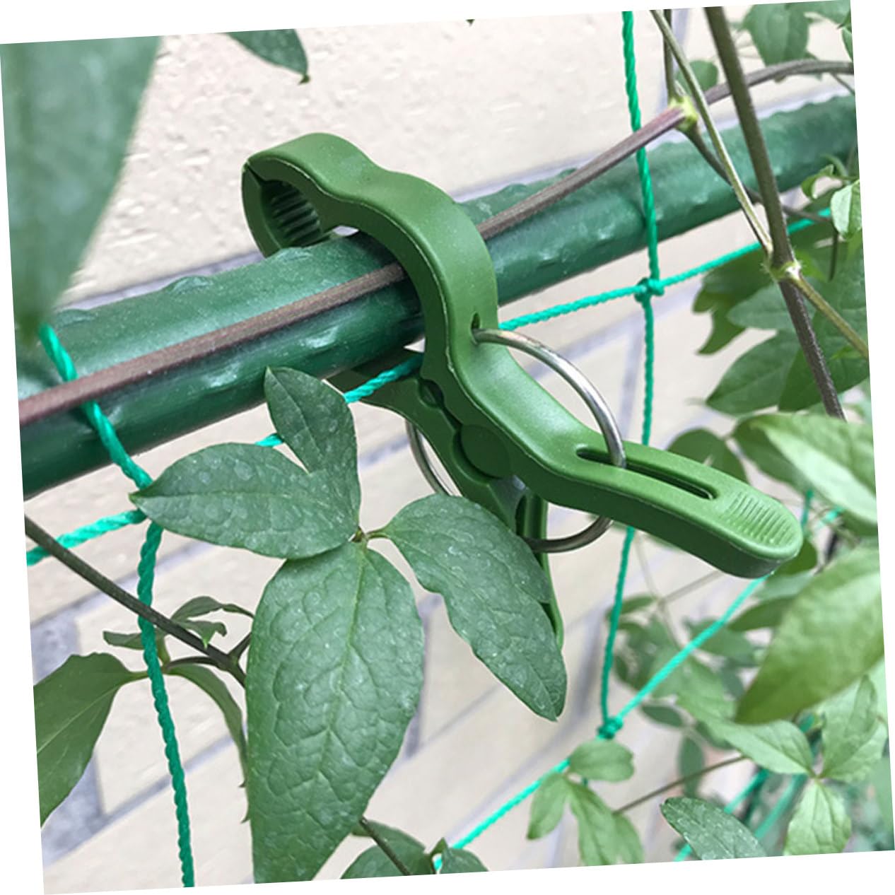 Toddmomy 50pezzi Clip Fissaggio per per Giardinaggio Facile Installare e Resistente Accessori per Rampicanti