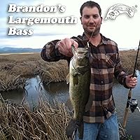 Vista 6 de Panther Martin Patrones clásicos de lágrima Spinners señuelo de pesca atrapa trucha, lucioperca, almizclado, latón de boca grande, perca, salmón