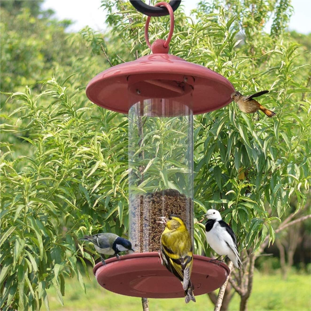 Comedero Pajaros Exterior Alimentador De Pájaros De Metal, Comedero Colgante De Semillas De Pájaros para Mascotas con Techo Y Bandeja para Exteriores Comederos para Pajaros