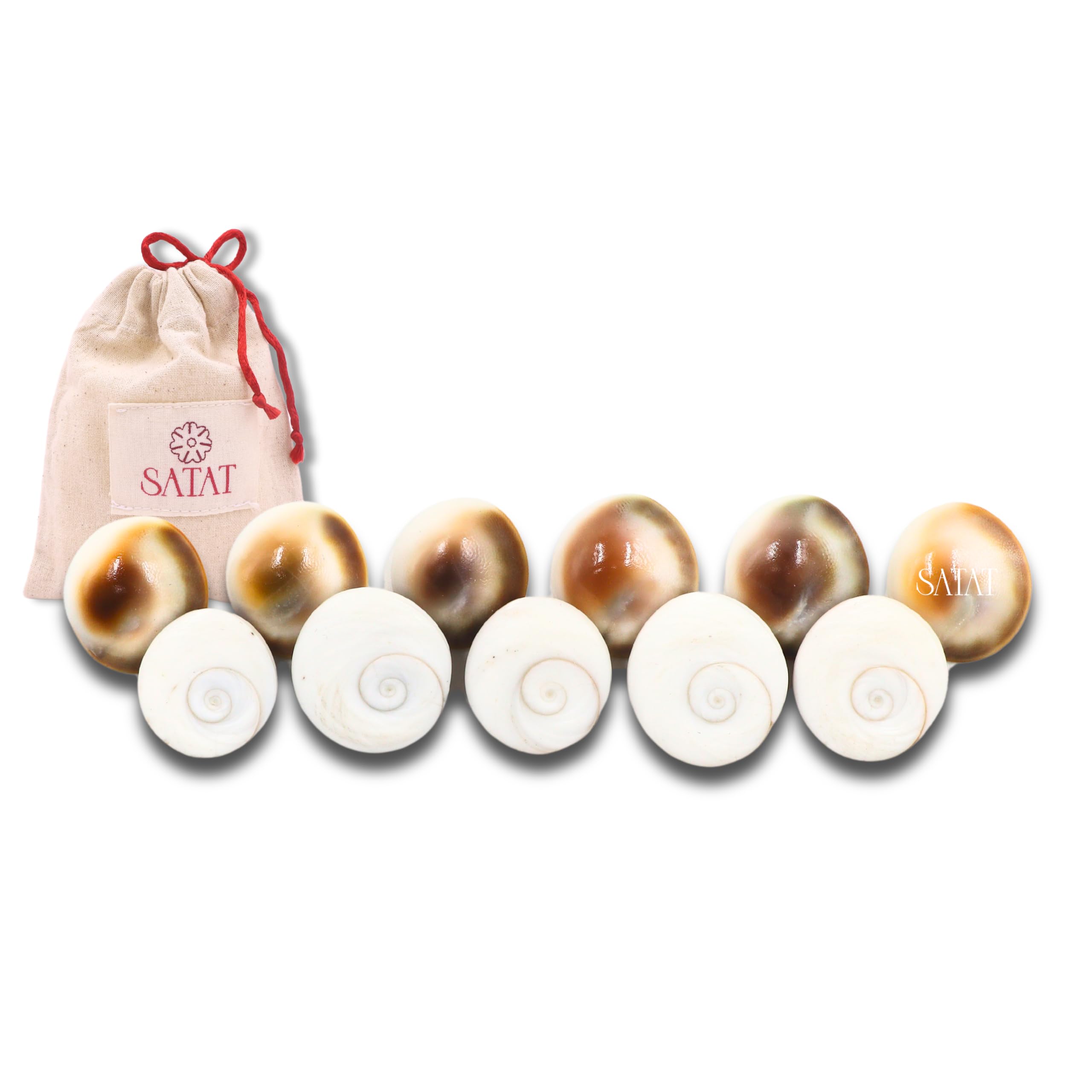 SATAT Gomati Chakra Original | Pack of 11 | Natural | Hand-Picked Pieces | for Lakshmi Puja at Diwali & Dhanteras | for Wealth & Vastu Dosha Elimination-image-10