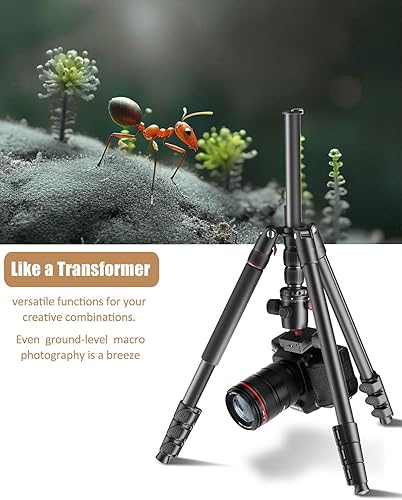 Miniatura 4 de Trípode, cámara réflex digital profesional de 80 pulgadas, cabeza de bola SLR, tripod y monopie con bolsa de transporte compatible con