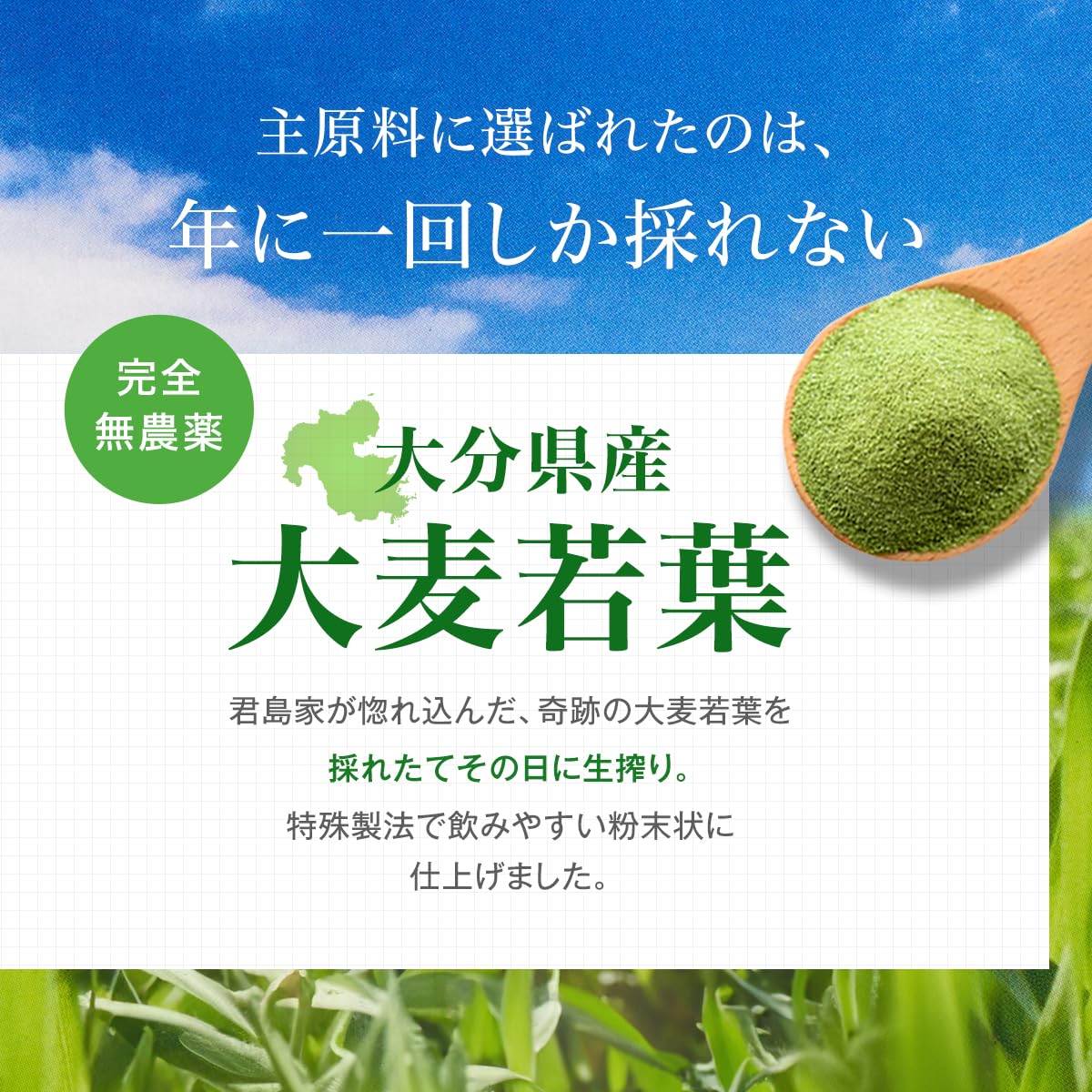 Amazon.co.jp: FTC 君島家の生搾り朝汁 青汁 30包入り 1か月分 君島