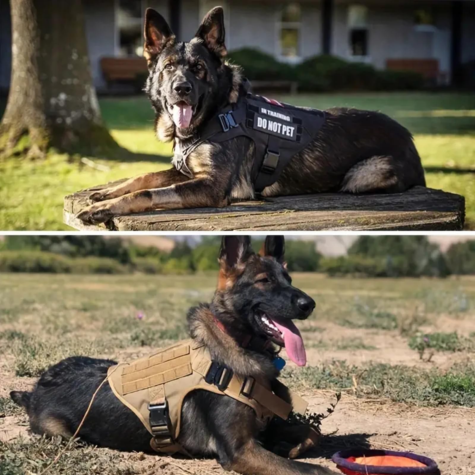 Arnes Táctico Perro Grande Arnes Antitirones Militar Malla Transpirable Chaleco para Adiestramiento con Anillos Ajustables con Técnica Molle para Adiestrar, Caminar, Cazar,Verde,Medium