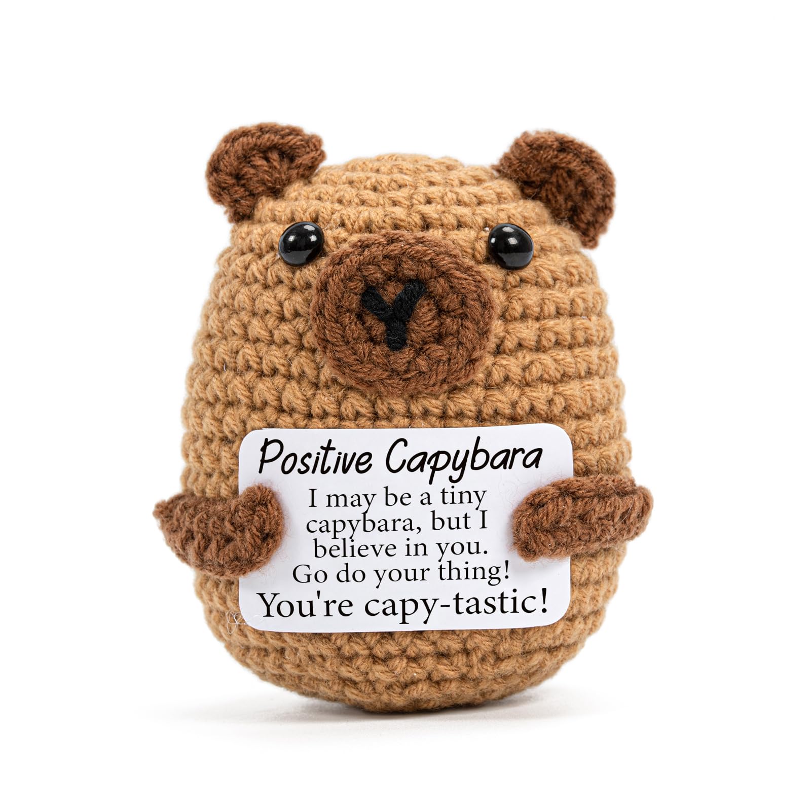 Vinuwu Positive Crochet Animals Capybara Gifts,Emotional Support Gift with Positive Affirmation Cards,Funny Inspirational for Women (A)