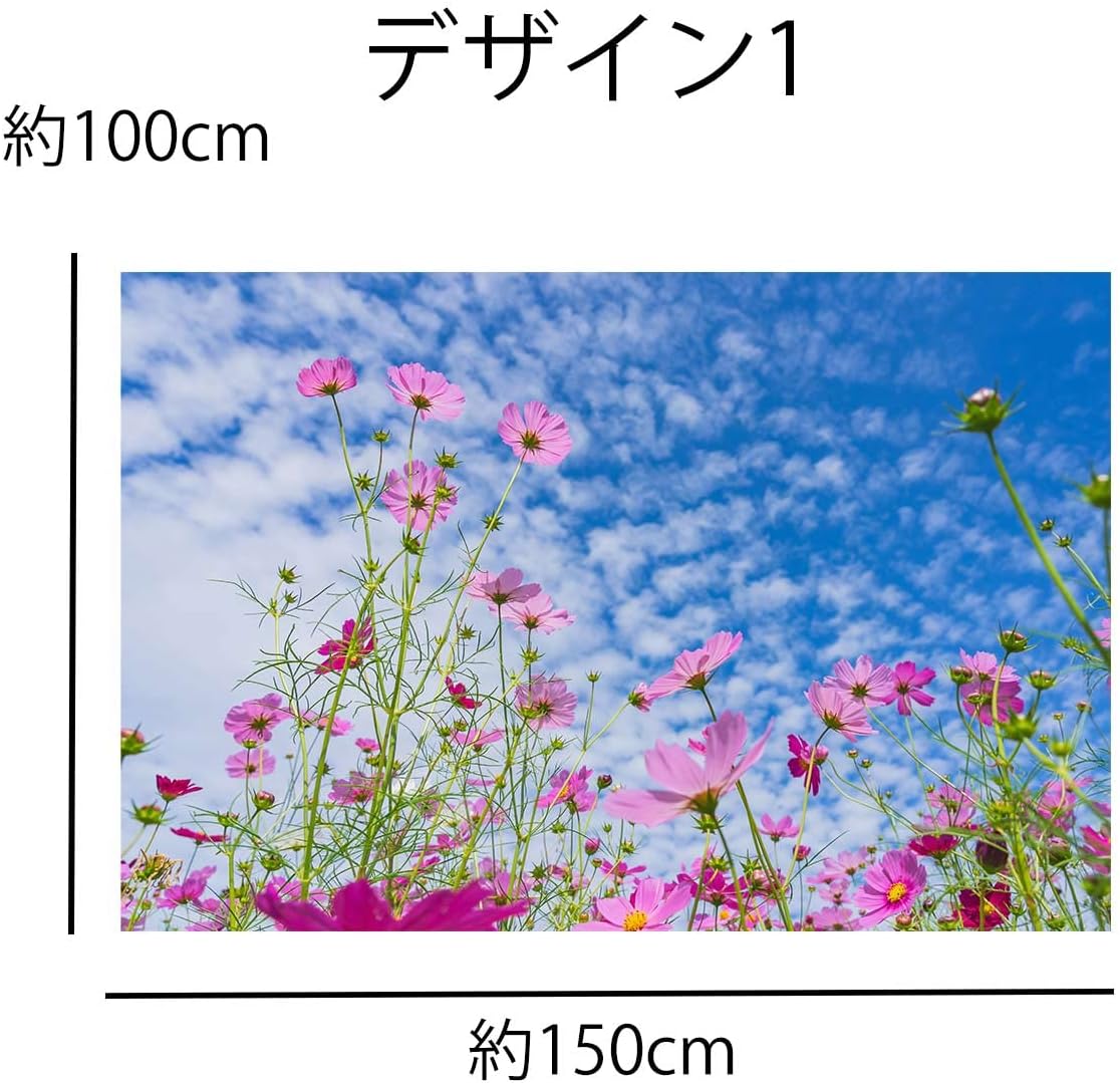 Amazon Nd タペストリー コスモス キンモクセイ 彼岸花 ヒガンバナ 秋の花 鰯雲 青空 風景 植物 写真 大きい 壁 インテリア 布 目隠し 背景 テレワーク リモートワーク 背景布 部屋 飾り 大きい 大判 長い 横長 Zoom 動画撮影 イワシ雲
