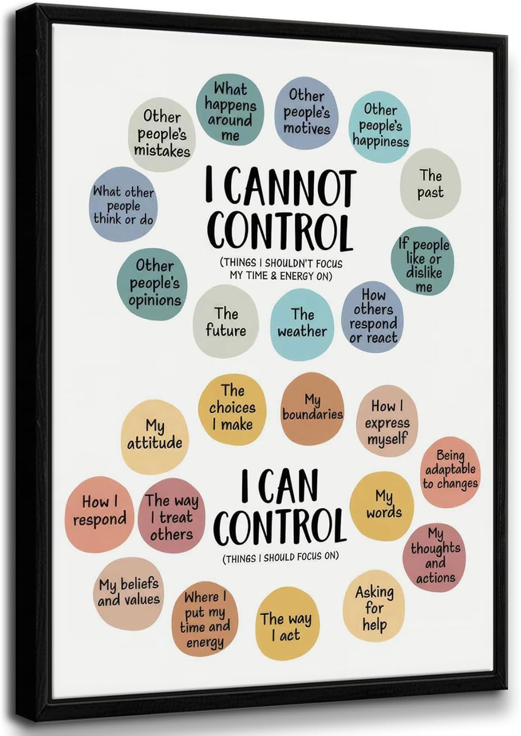 Framed Mental Health Wall Art Therapy Office Wall Decor Things I Can Control Poster School Counselor Canvas Print for Office Classroom Bedroom 12x16in