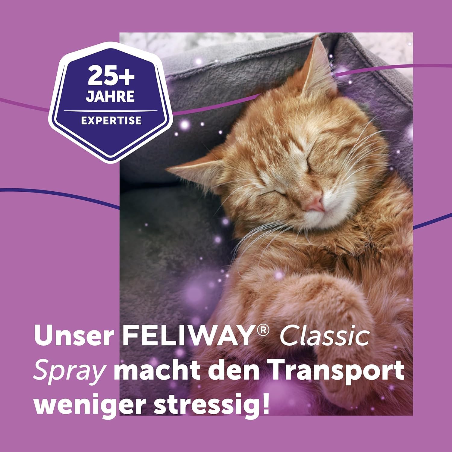 FELIWAY Classic | Pheromone für Katzen | Verdampfer für die Steckdose inkl. 48ml Flakon + 20ml Spray | gegen Stress, für mehr Harmonie | von Tierärzten empfohlen, klinisch getestet