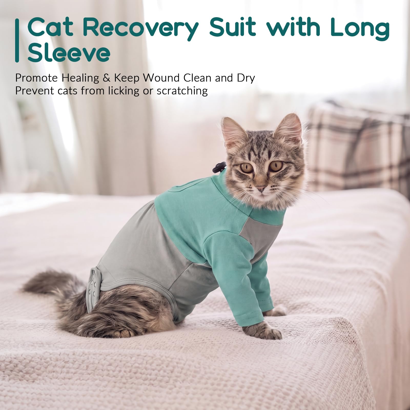 Body Post Operatoire Chat, Doux Body pour Chat Après Stérilisation Gilet de Récupération Manchon Récupération pour Pattes Avant, Empêche de Lécher Les Points de Suture(Vert, L)
