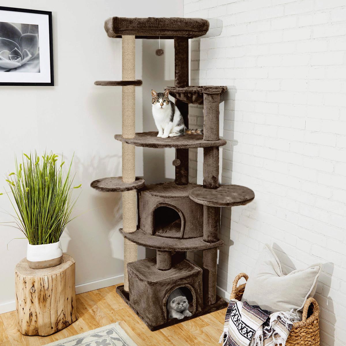 PURRWAY Multisory Playing Activity Kitten Cat Tree - Soft Fur Fabric | Furry Balls | Condos | Top Bed | Scratching Posts | Jute Rope | for Adult Cats & Kittens (Height 80 Inch) (Brown - FURR-92) (B0D49CFCDR) Amazon Price History, Amazon Price Tracker