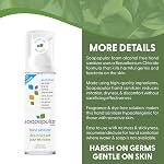 Alcohol Free Foam Hand Sanitizer, 0.15% Benzalkonium Chloride, Hypoallergenic, Fragrance Free, Safer for Kids, 180mL (Pack of 3)