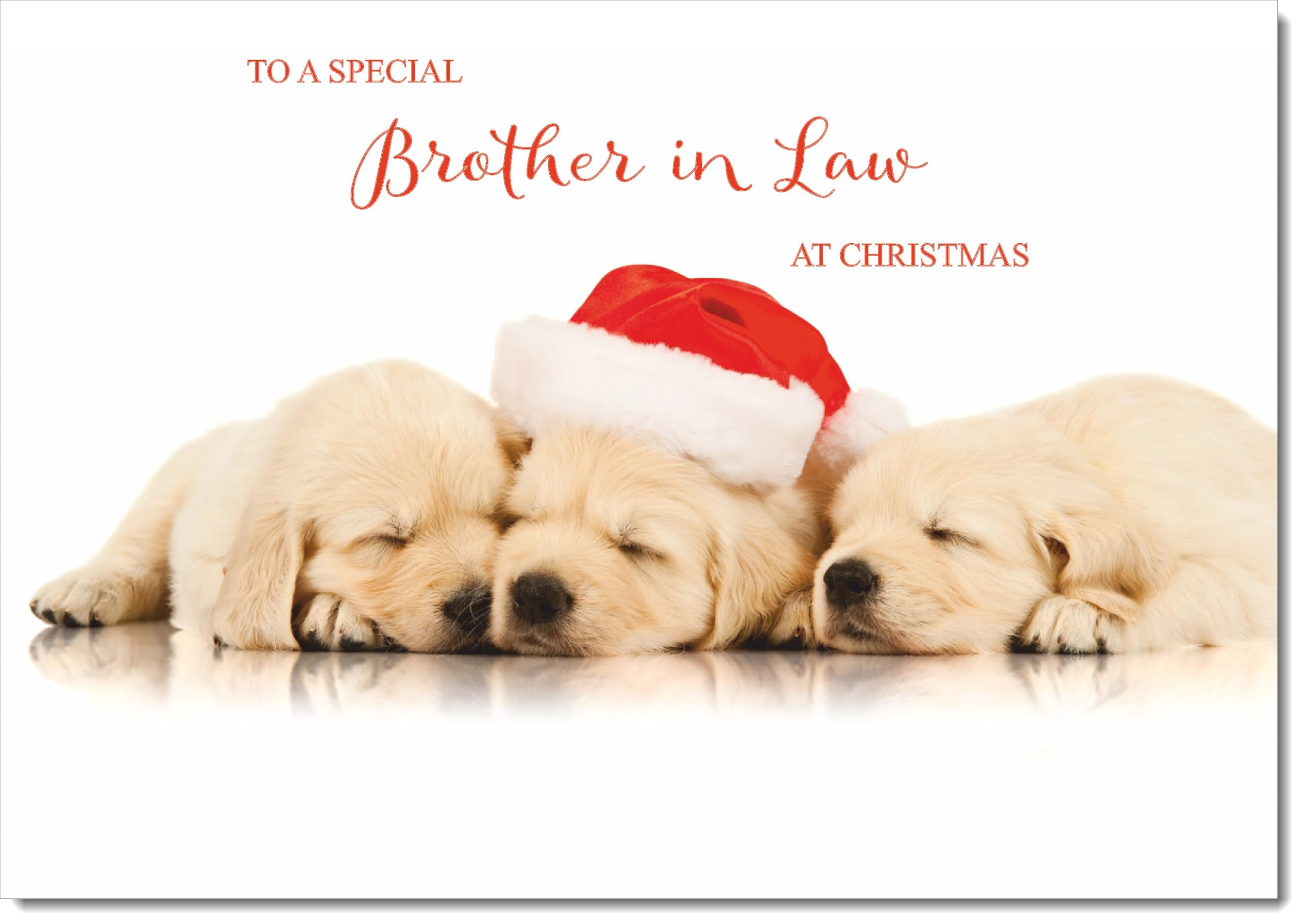 doodlecards Brother in Law Christmas Card Puppies with Santa Hat Large A4 Size Christmas Card for Brother in Law with Plain Envelope