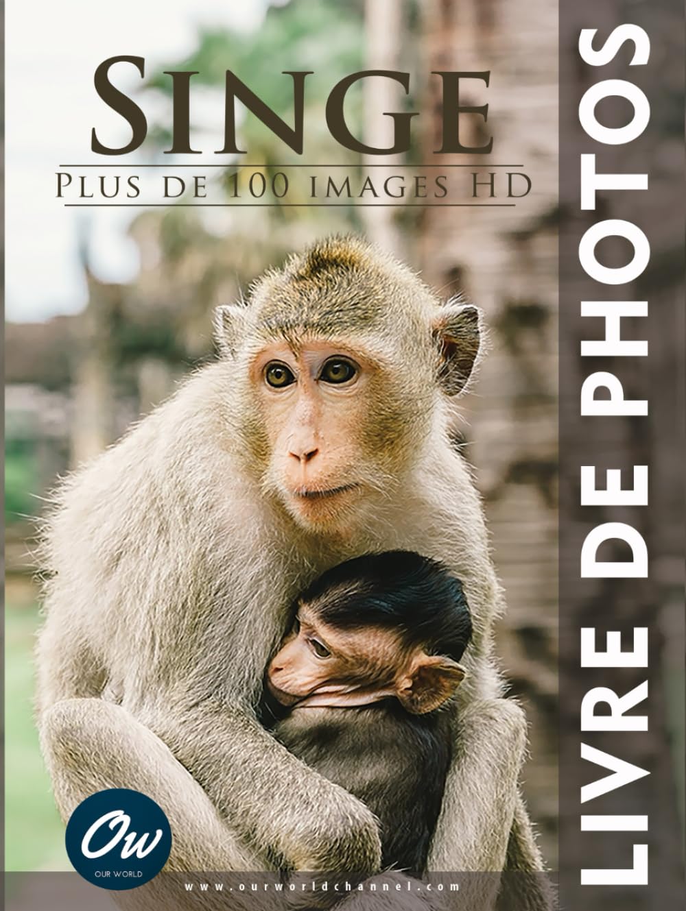 Livre de photos singe cadeau idéal pour amoureux de nature