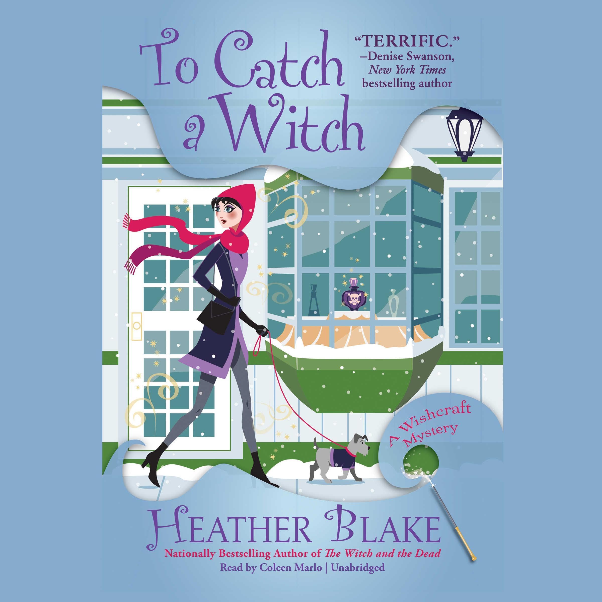 Cover art for To Catch a Witch
