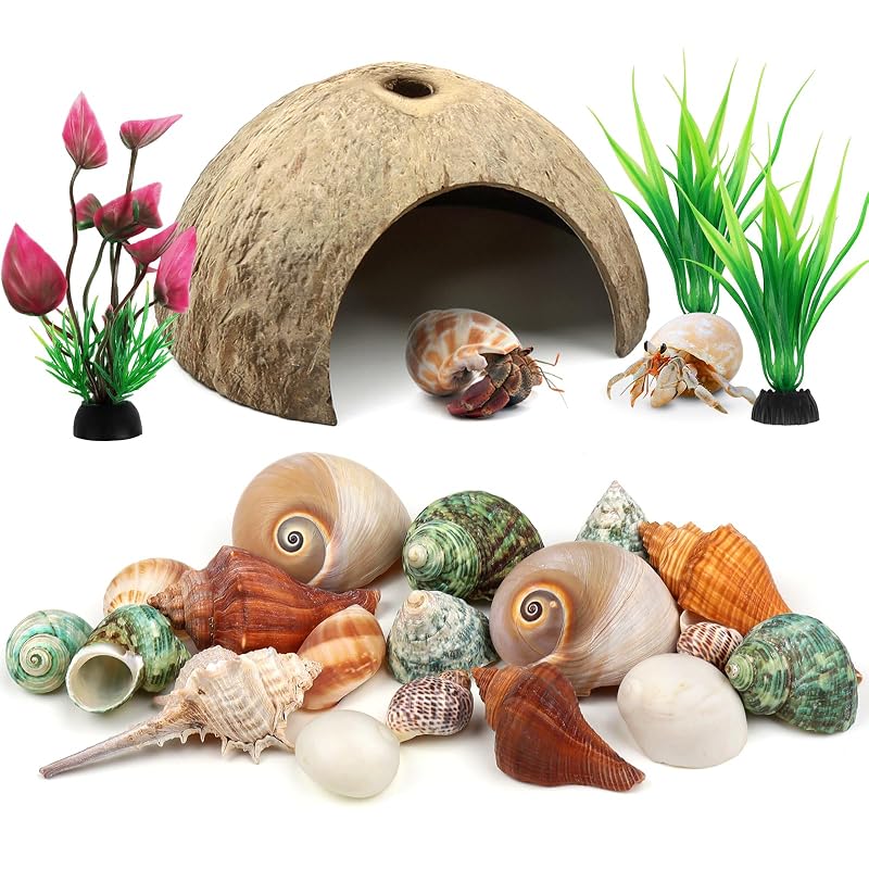 Esconderijo para caranguejo-eremita QUOZUO com casca de coco natural, plantas artificiais e conchas naturais, pacote com 22 peças