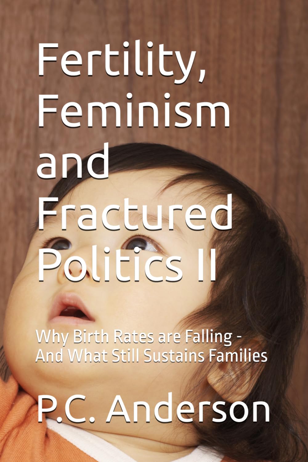 Fertility, Feminism and Fractured Politics II: Why Birth Rates are Falling - And What Still Sustains Families